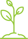 sprout (1)